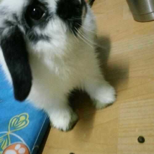 สมาชิกหมายเลข 4587362