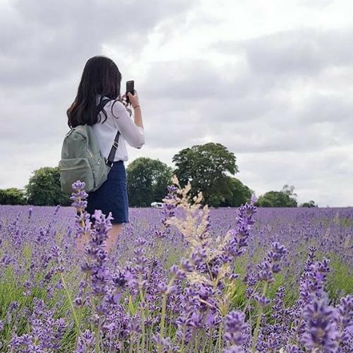 สมาชิกหมายเลข 5343238