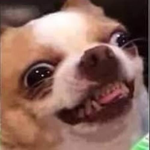 สมาชิกหมายเลข 4472271