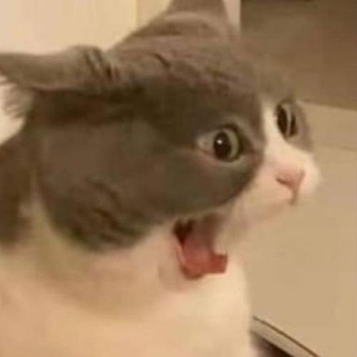 สมาชิกหมายเลข 6063356