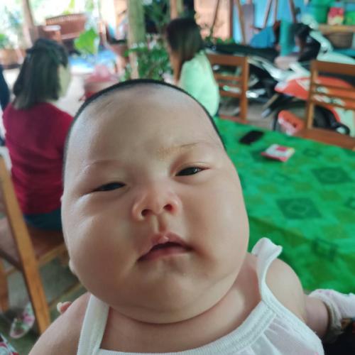 สมาชิกหมายเลข 7115130