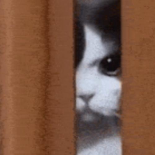 สมาชิกหมายเลข 3002564