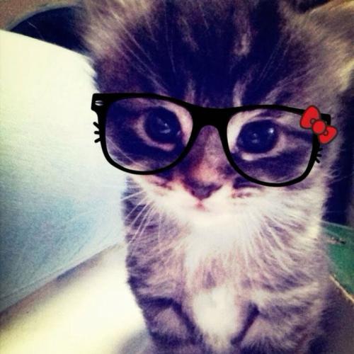 สมาชิกหมายเลข 6713501