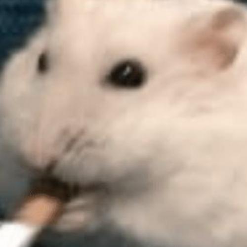 สมาชิกหมายเลข 7899548