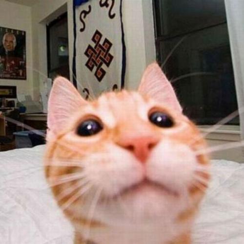 สมาชิกหมายเลข 7899979