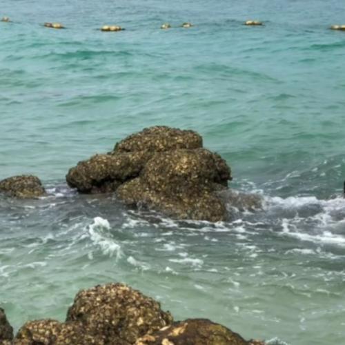 สมาชิกหมายเลข 3162745