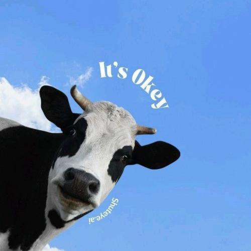 สมาชิกหมายเลข 5616573