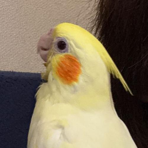 สมาชิกหมายเลข 8422740