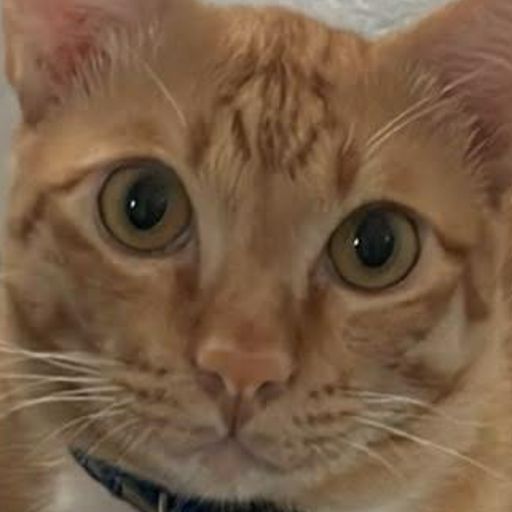 สมาชิกหมายเลข 4188822