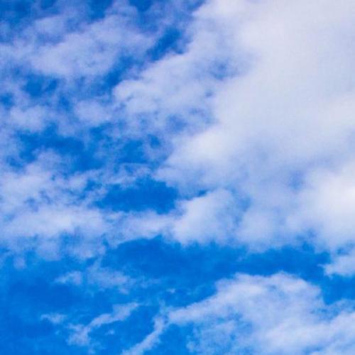 สมาชิกหมายเลข 4597383