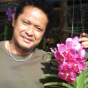 สมาชิกหมายเลข 4597484