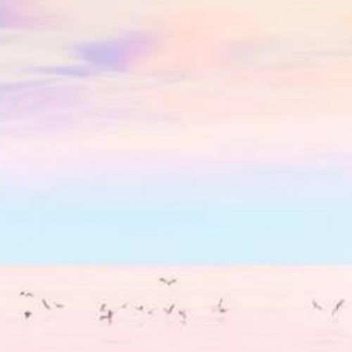 สมาชิกหมายเลข 4945404