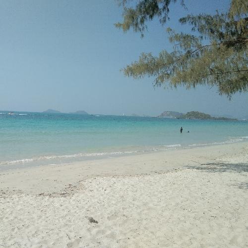 สมาชิกหมายเลข 3678804