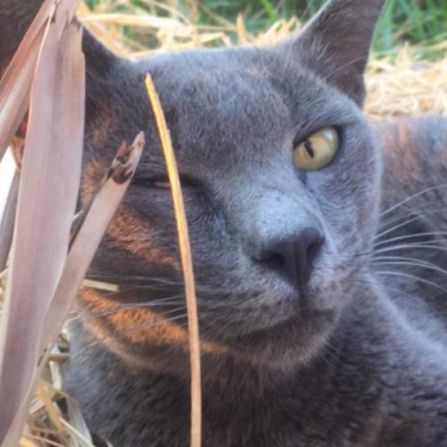 สมาชิกหมายเลข 4491627