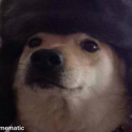 สมาชิกหมายเลข 6422719