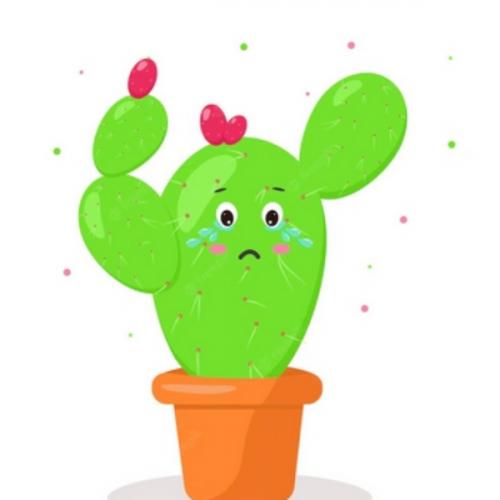 สมาชิกหมายเลข 2373200