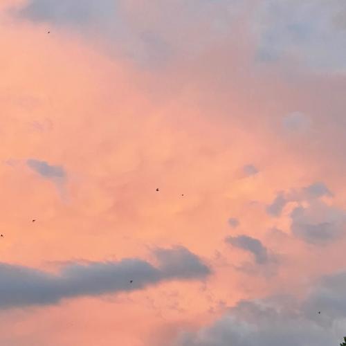 สมาชิกหมายเลข 7115633