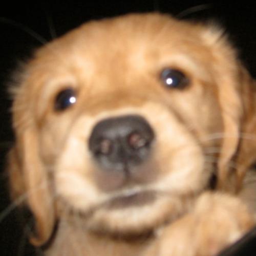 สมาชิกหมายเลข 8913669