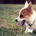 สมาชิกหมายเลข 3732392