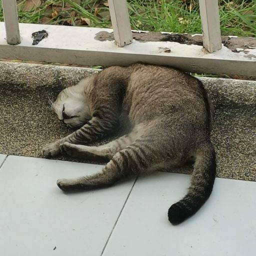 สมาชิกหมายเลข 3286809