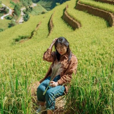 สมาชิกหมายเลข 9327931