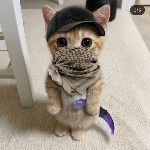 สมาชิกหมายเลข 9329150