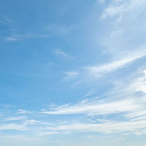 สมาชิกหมายเลข 9329377