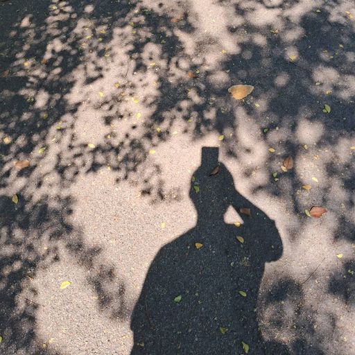 สมาชิกหมายเลข 9329404