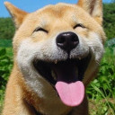 สมาชิกหมายเลข 4406798