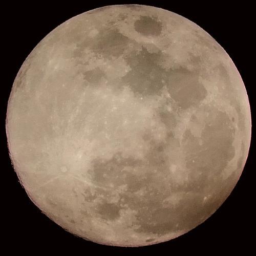 สมาชิกหมายเลข 4788274