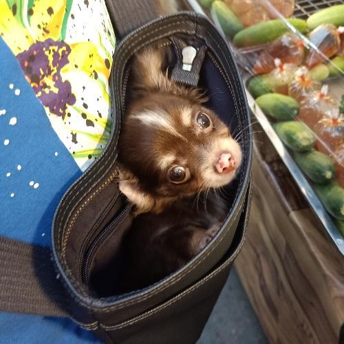 สมาชิกหมายเลข 4643043