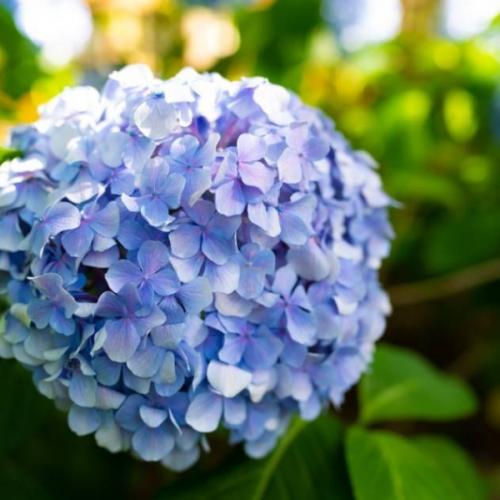 สมาชิกหมายเลข 5820333