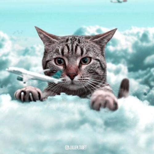 สมาชิกหมายเลข 6422958