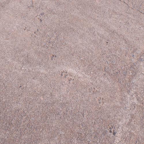 สมาชิกหมายเลข 7885990