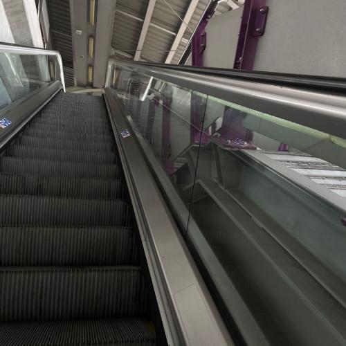 สมาชิกหมายเลข 8082238