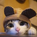 สมาชิกหมายเลข 3734235