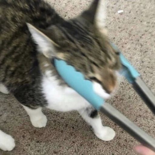 getemblue00