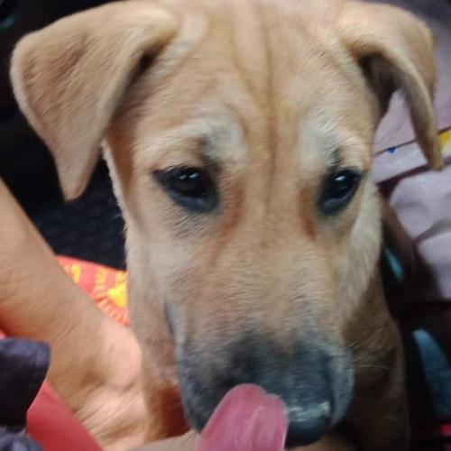 สมาชิกหมายเลข 1668902