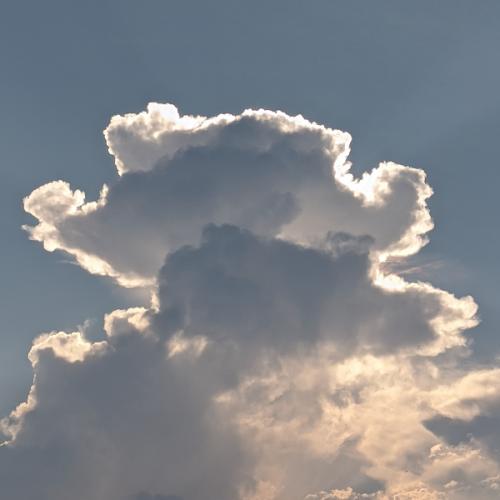 สมาชิกหมายเลข 5450846