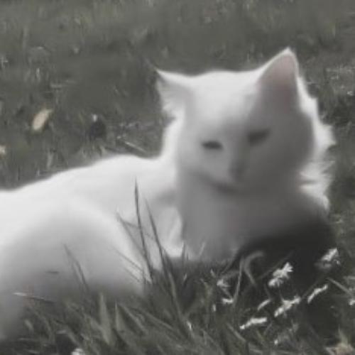 สมาชิกหมายเลข 7902258