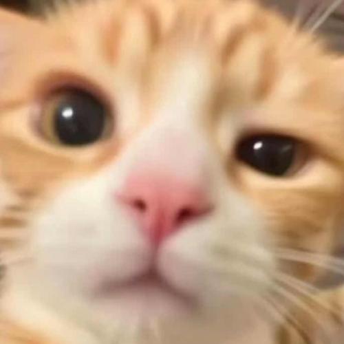 สมาชิกหมายเลข 5352946