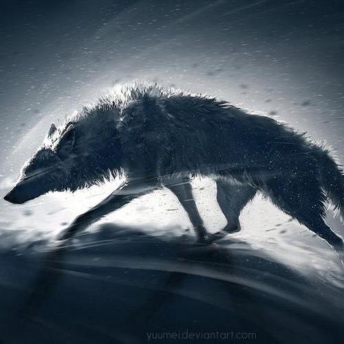 สมาชิกหมายเลข 2701348