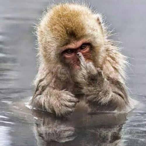 สมาชิกหมายเลข 4598018