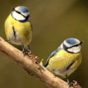 สมาชิกหมายเลข 4730050