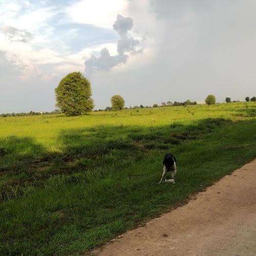 สมาชิกหมายเลข 3238660