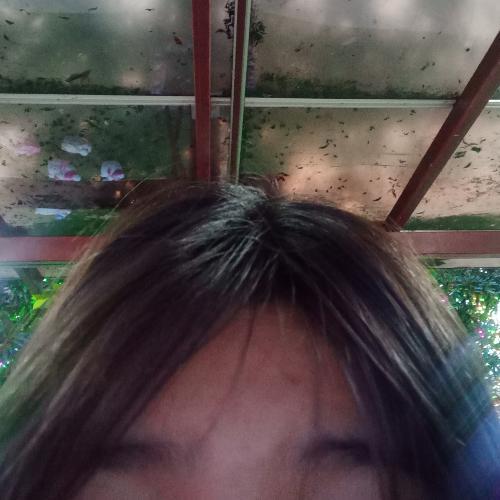 สมาชิกหมายเลข 4835770