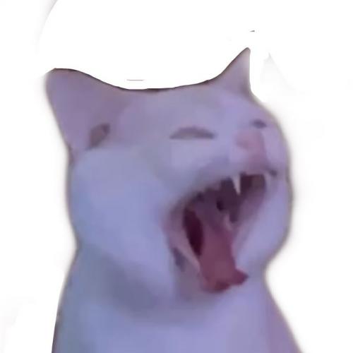 สมาชิกหมายเลข 6424225