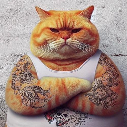 สมาชิกหมายเลข 1822473