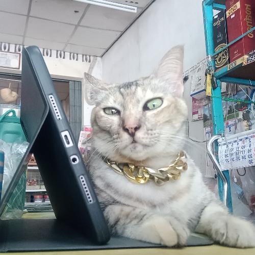 ใจความสำคัญ