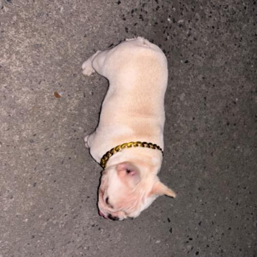 สมาชิกหมายเลข 8908810